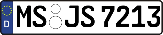 MS-JS7213