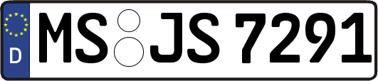 MS-JS7291