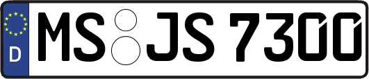 MS-JS7300