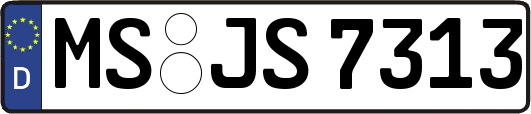 MS-JS7313