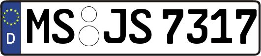 MS-JS7317