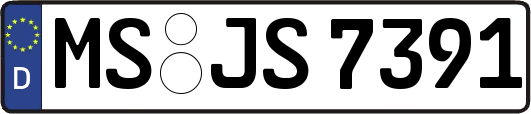 MS-JS7391