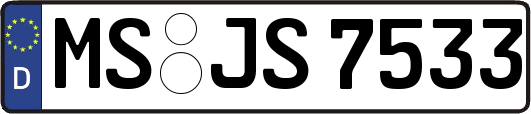MS-JS7533