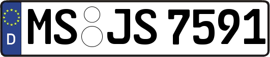 MS-JS7591