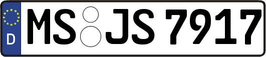 MS-JS7917