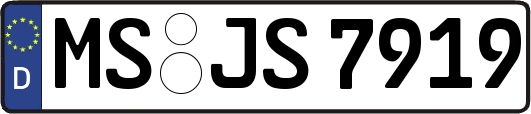 MS-JS7919