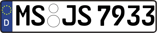 MS-JS7933