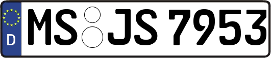 MS-JS7953