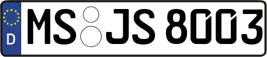 MS-JS8003