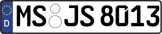 MS-JS8013