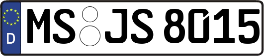 MS-JS8015