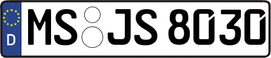MS-JS8030