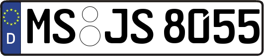 MS-JS8055