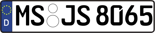 MS-JS8065
