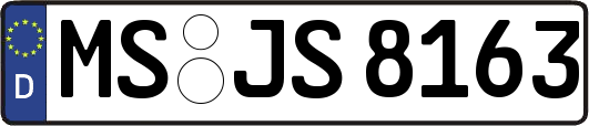 MS-JS8163