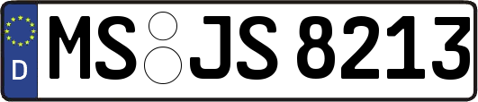 MS-JS8213