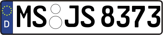 MS-JS8373