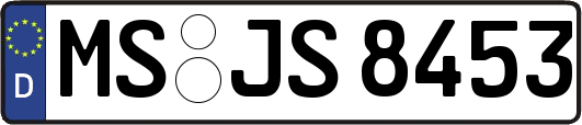 MS-JS8453