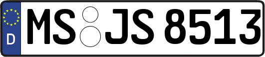 MS-JS8513