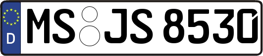MS-JS8530