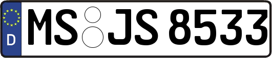 MS-JS8533