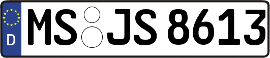MS-JS8613