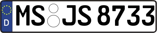 MS-JS8733