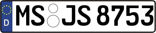 MS-JS8753