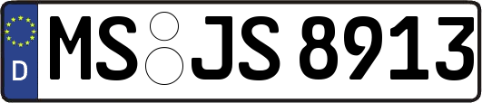 MS-JS8913