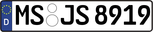 MS-JS8919