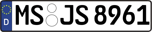 MS-JS8961