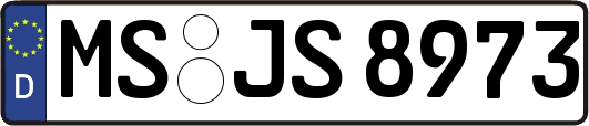 MS-JS8973