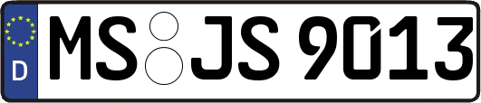 MS-JS9013