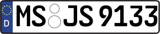MS-JS9133
