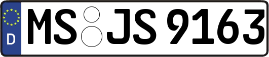 MS-JS9163