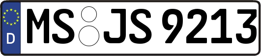 MS-JS9213