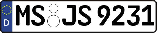 MS-JS9231