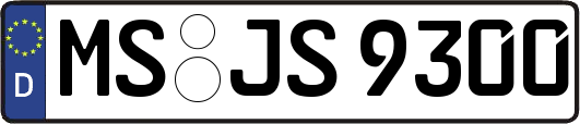 MS-JS9300