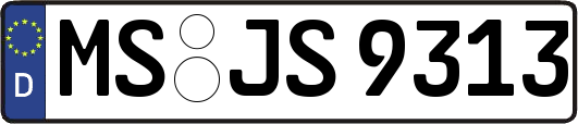 MS-JS9313