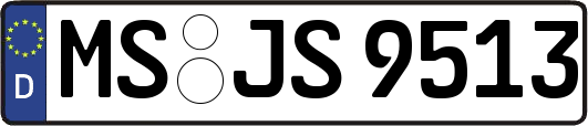 MS-JS9513