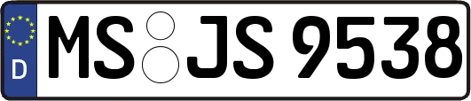 MS-JS9538