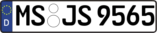 MS-JS9565