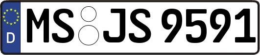 MS-JS9591