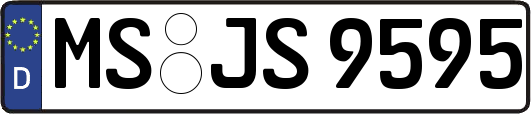 MS-JS9595