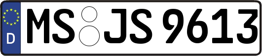 MS-JS9613