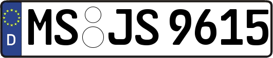 MS-JS9615