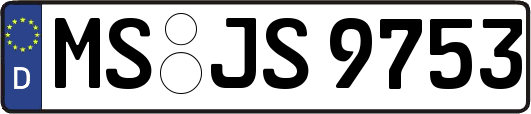 MS-JS9753
