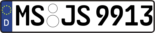 MS-JS9913