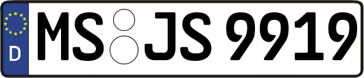MS-JS9919