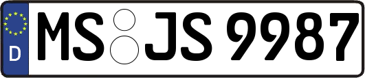 MS-JS9987